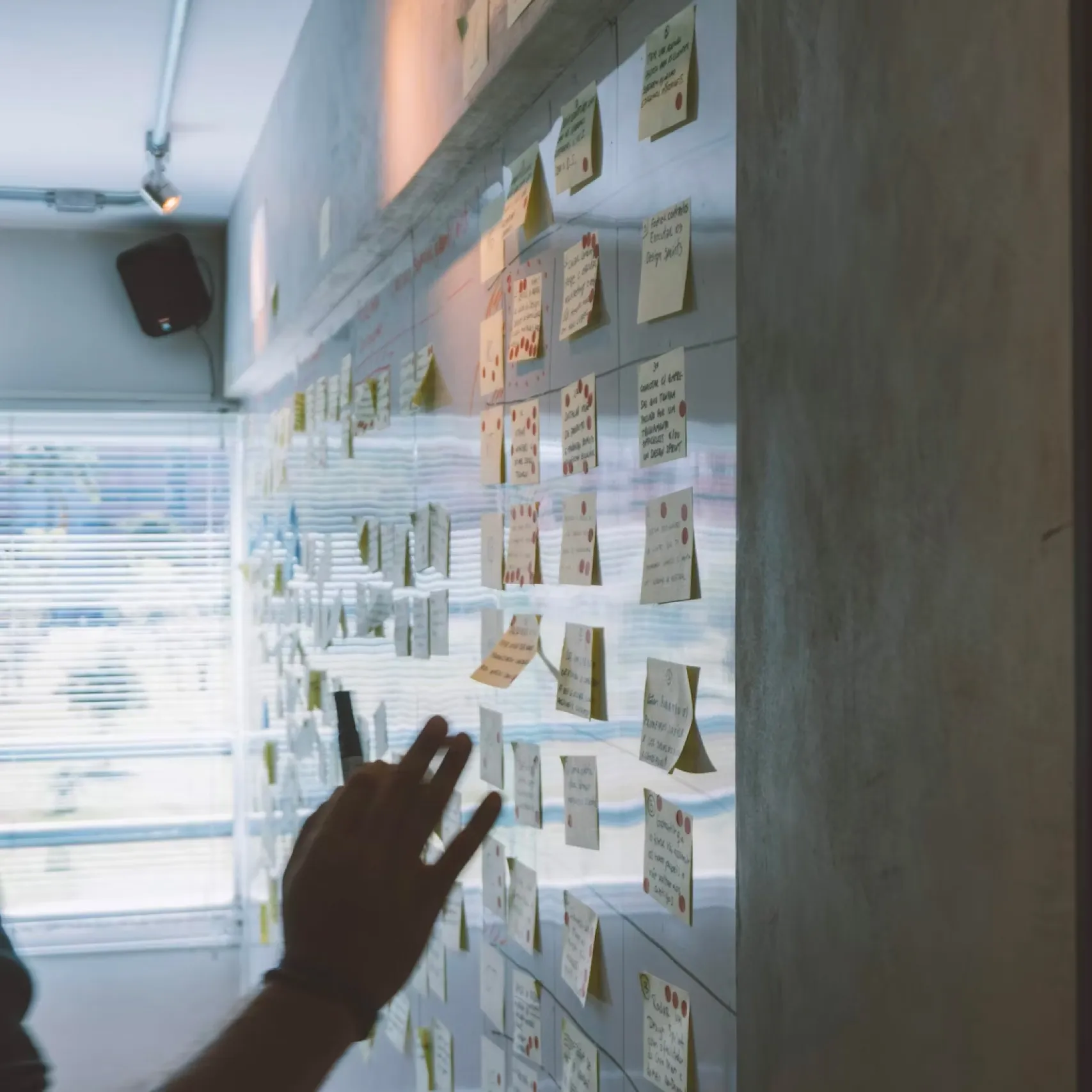 fractional management digital growth